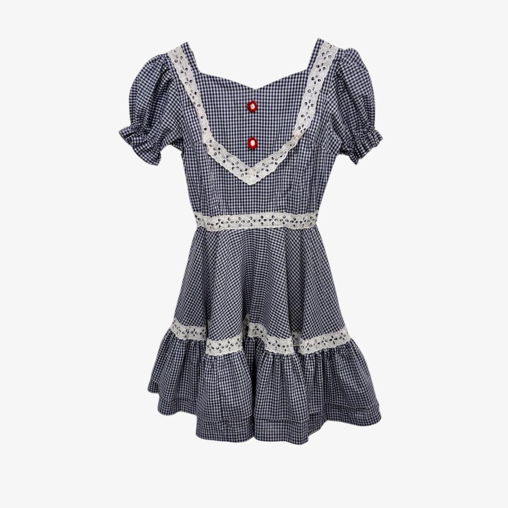 Vintage Western Fashions Denver Co Dress Gingham Blue White Retro Prairie 70s XS